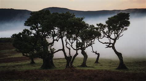  Das Hegang Shuanglongshan Naturreservat – Ein Paradies für Wandersüchtige und Fotografen!