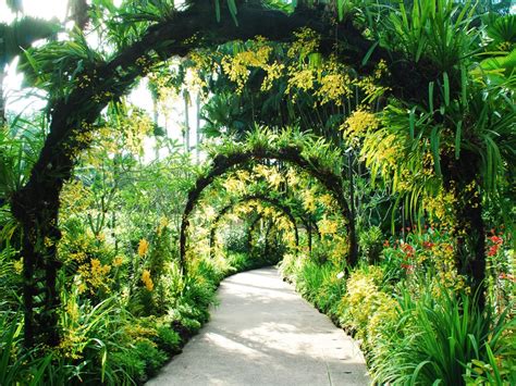  Der Bundeshua-Park: Ein botanischer Paradies der Stille und Inspiration!