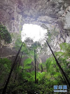 Der Zingwang Tiankeng – Ein gigantischer Krater voller Geheimnisse und Abenteuer!