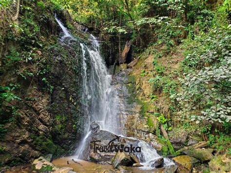 Die Erin Ijesha Wasserfälle: Mystische Schönheit und erfrischende Abenteuer!